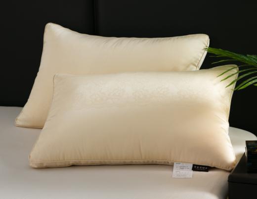 10楼宝缦 黄金大豆枕48*74cm 吊牌价380元 活动价159/只 商品图0