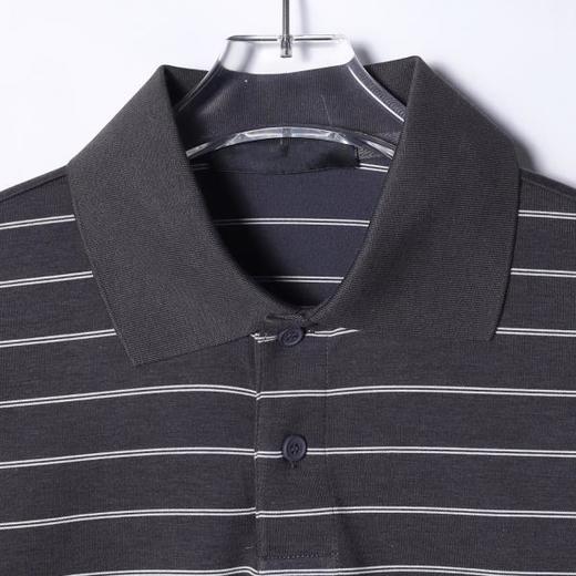 T633SDSA男士秋冬新款痞帅男装简约撞色条纹polo领长袖卫衣百搭宽松 商品图2