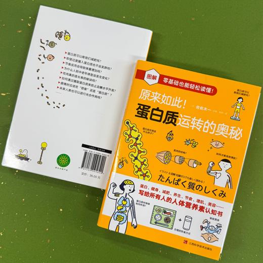 【14岁+】《原来如此！蛋白质运转的奥秘》——揭秘蛋白质运转奥秘的科学读物 商品图3