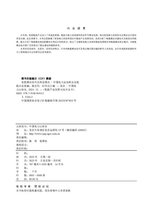 氢能产业发展与技术丛书 电氢耦合技术及商业模式 商品图2