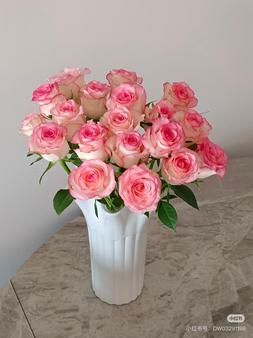 预售8号到货 爱莎粉色玫瑰一扎10支， 支长55厘米