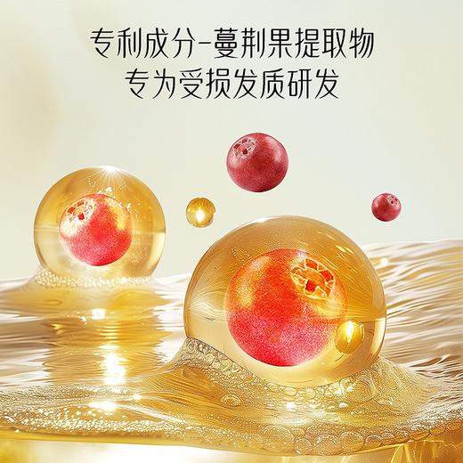 nak 丝质轻盈发膜450g 商品图1