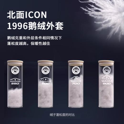 【北面1996 Nuptse经典款羽绒服】超值清仓福利！时尚大牌联名款，DWR科技面料，专业防护设计，保暖防风，畅享舒适寒冬！ 商品图3