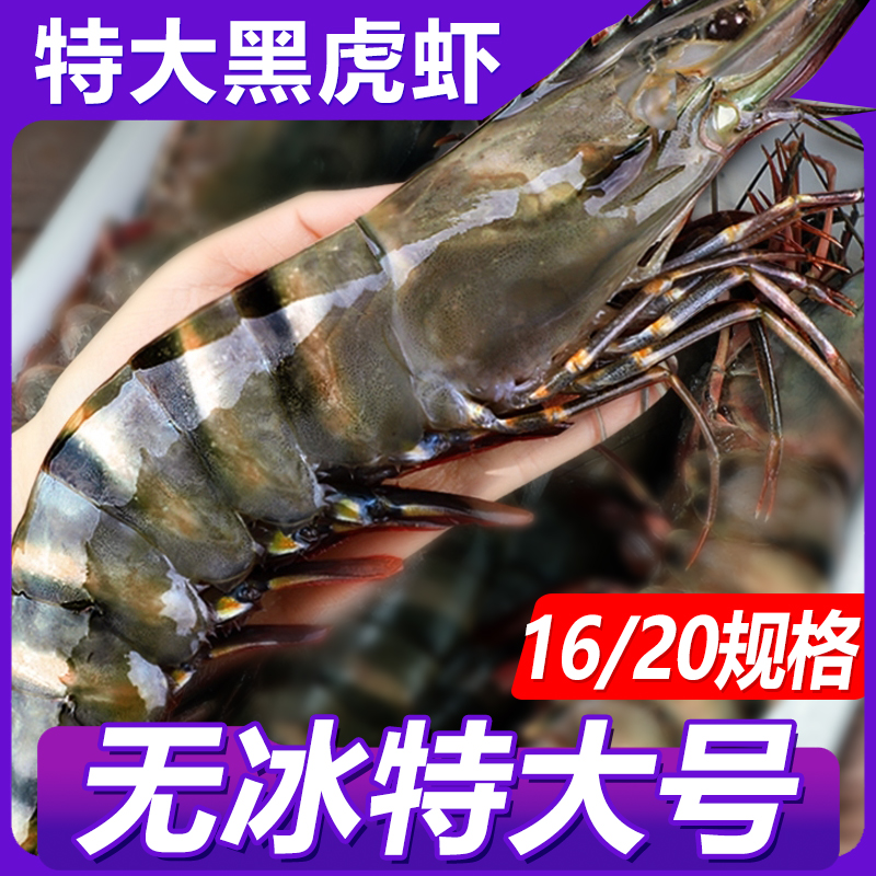【顺丰冷链】印度鲜冻原装黑虎虾