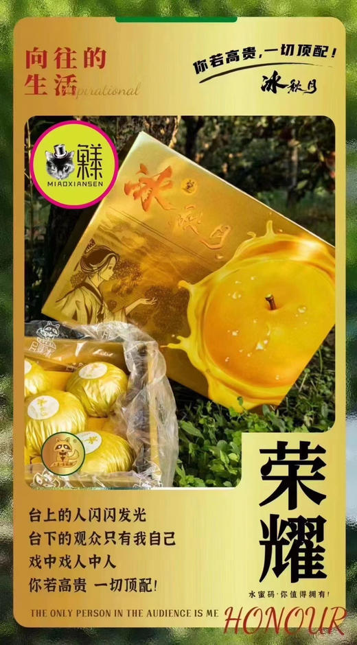 【冰糖秋月梨】礼盒7-9枚入约3.5kg 商品图6