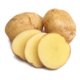 土豆 约450-550g/份