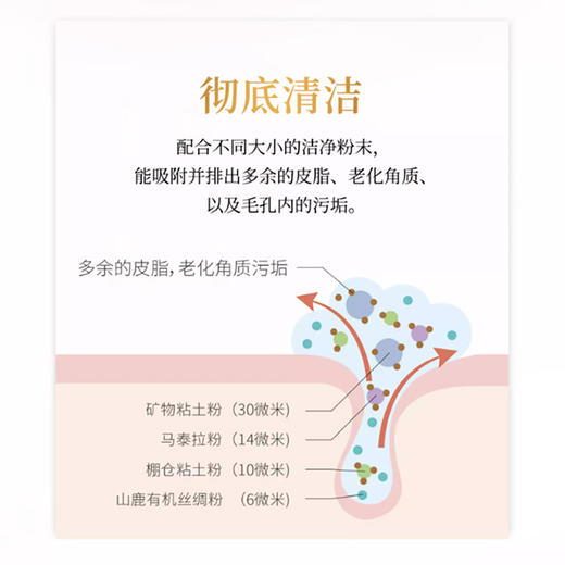 Domohorn Wrinkle 再春馆制药所洗面奶 110g【2026.3.29】 商品图3