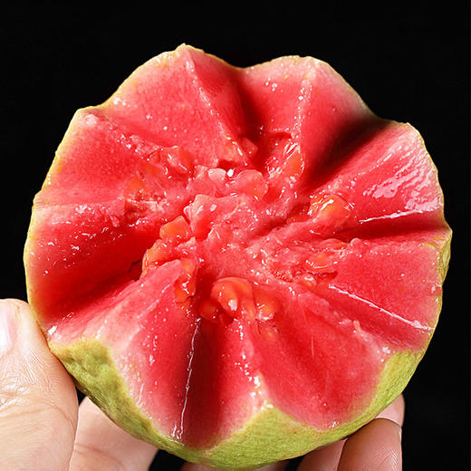 广西红心芭乐 5斤装 顺丰快递 商品图1