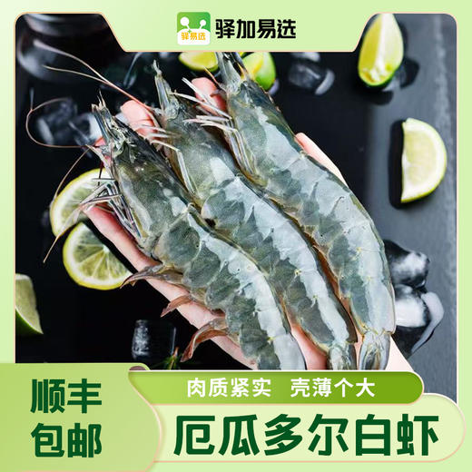 【顺丰冷链】1.65kg进口厄瓜多尔鲜冻白虾 商品图0