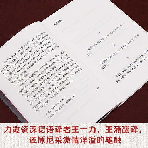 偶像的黄昏（那些没能杀死我的，使我更加强大！） 商品图3