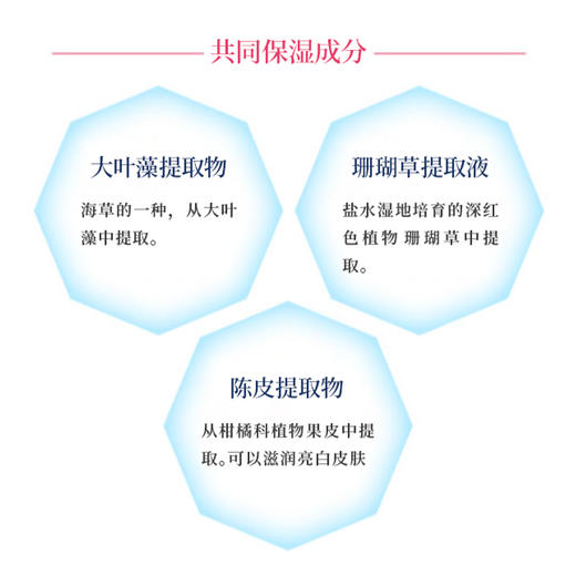 Cbon 倩朋 妃雪丽丝6W美白保湿霜 35ml 旧版【2026.07.13】 商品图2