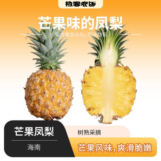 树熟芒果凤梨丨切开的一刹那，香味扑鼻，酸甜口感，凤梨味浓，果肉黄金水灿，风味馥郁，爽滑脆嫩，到货挑熟度高的先吃，常温保存或者报纸保住冷藏保存，切勿直接冷藏⭐️顺丰快递 商品图0