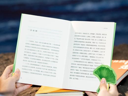 (史铁生人生四书》精装函套(全4册)，赠品1：异形书签4枚，赠品2：史铁生《给盲童朋友》手写信， 商品图5