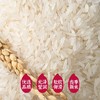 隆平芯米（江南丝苗）5kg 商品缩略图2