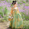 【苏城纪】新款-《国色芳华》同色系汉服女童襦裙 恬苒 商品缩略图0