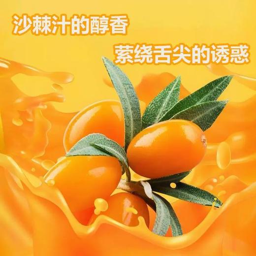 聊小天新疆沙棘原浆NFC袋装 160g/袋 商品图2