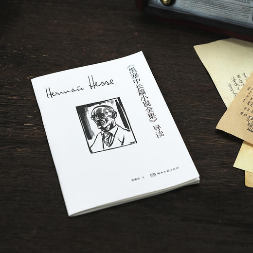 黑塞中长篇小说全集 赠5重好礼 口袋书 商品图3