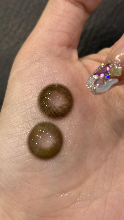 Chonos日抛·雾岛呼吸/糯糯青山·14.5直径·中大着色·10片装 商品图5