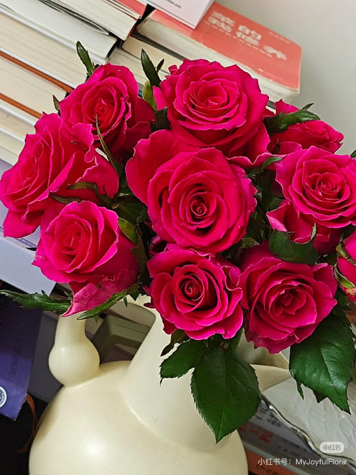 预售8号到货 高盛单头玫瑰一扎10支 支长60厘米。 商品图1