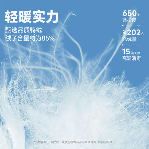 CHINISM CH90安心白鸭绒立领连帽羽绒服男冬季加厚保暖外套面包服 商品图1