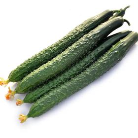 黄瓜 约550-650g/份