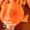 坝上有机胡萝卜（基地直发-顺丰包邮）|5斤/箱，来自河北张家口，生产者：李鹏飞【合作生产，公平贸易】 商品缩略图1