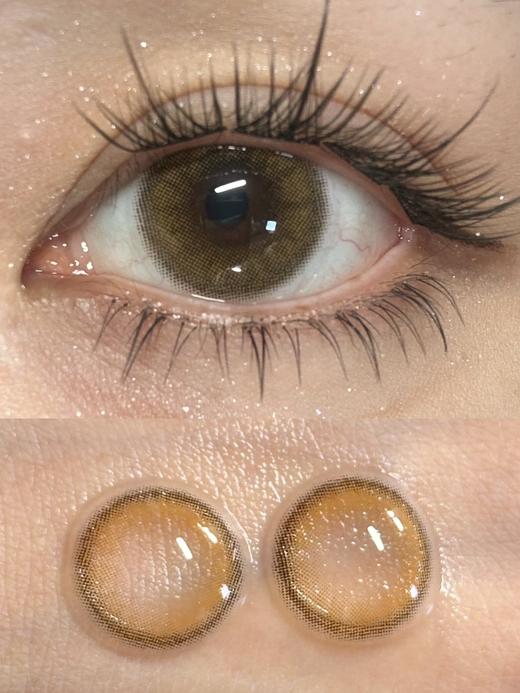 Pisircon旗下 · 自由遇见&梨花小隐｜14.2mm白狮参考着色中等直径 半年抛 商品图6