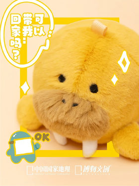 领养一只“小海象”是什么体验？