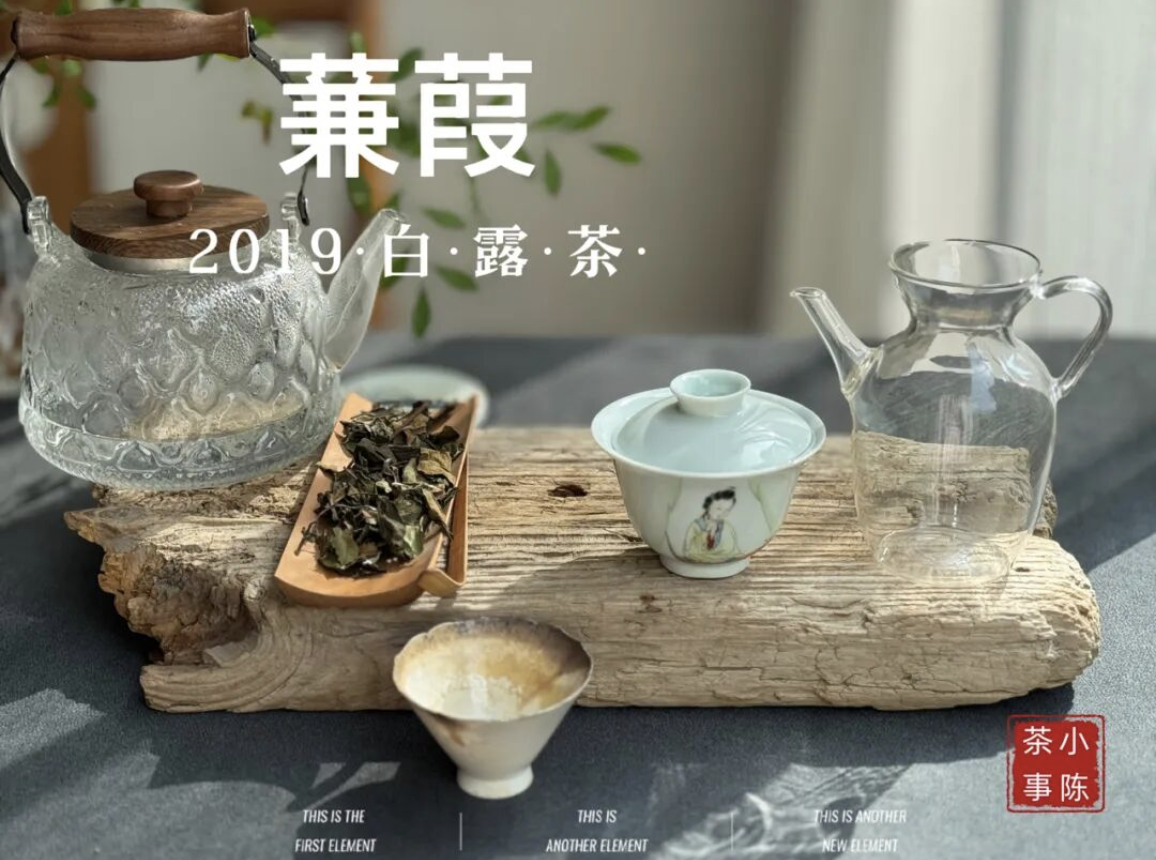 2019白露茶，又清，又鲜，又甜，又凉沁沁！
