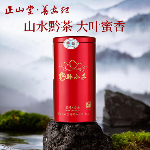 正山堂普安红 黔小茶红罐 骏眉中国红茶正宗贵州大叶种茶叶罐装自饮100g 商品图0