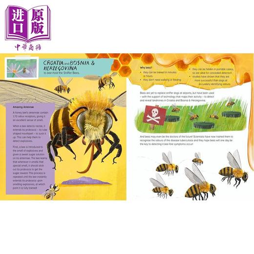 【中商原版】神奇动物和神奇的工作 Amazing Animals with Astonishing Jobs 英文原版 儿童绘本 动物工作世界指南 进口童书 商品图4