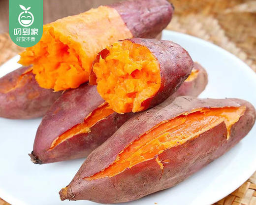 漳浦六鳌镇沙地红蜜薯-中果/1份（1.5kg±100g） 商品图1