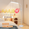 【专为儿童设计！AAA级健康照明】多档调光调色，LED学习落地灯护眼大路灯家居卧室床头灯ins风新款落地式台灯家用。rb 商品缩略图0
