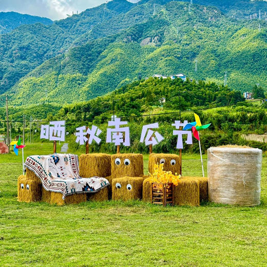 【熊猫部落探险乐园】成人票/儿童票，山地主题特色探险乐园，25+水陆空玩乐项目，更有萌宠乐园、卡皮巴拉的咖啡屋等，提前1天预定！ 商品图9