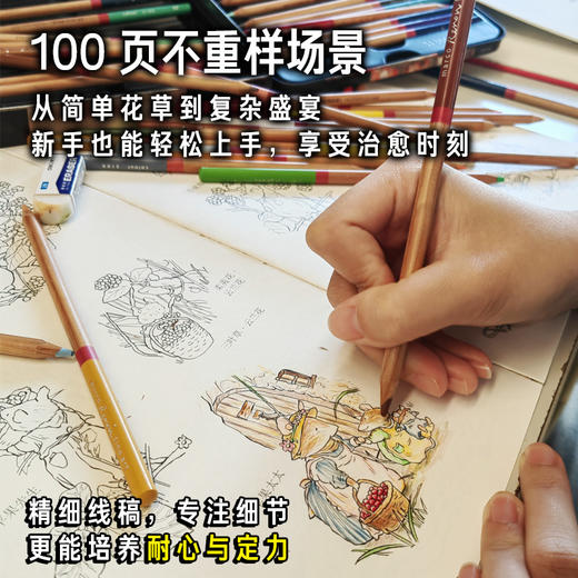 野蔷薇村的故事·涂绘版平装儿童3岁+原著手稿插画线稿涂色绘本 商品图3