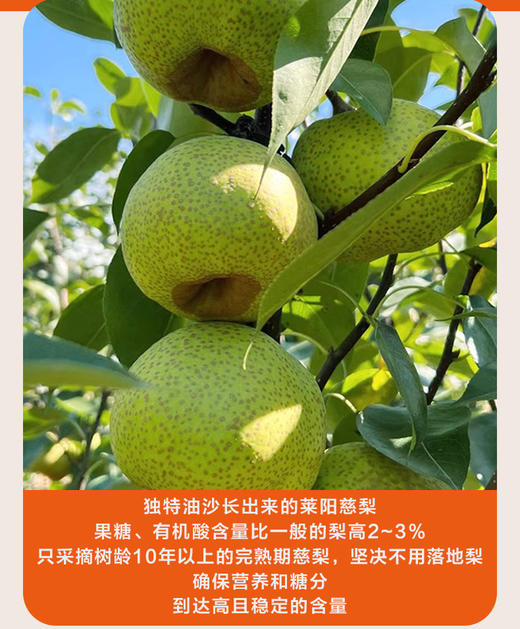 映煊亭莱阳纯梨膏 商品图3