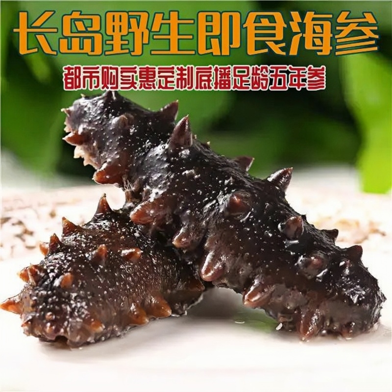 人气推荐【自营】小钦岛鲜活全营养 即食海参