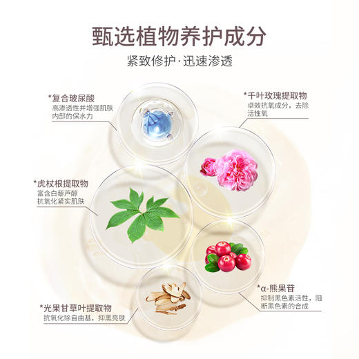CyclePlus 菁龄 娜丽丝院线去纹精华面霜 30g 商品图3