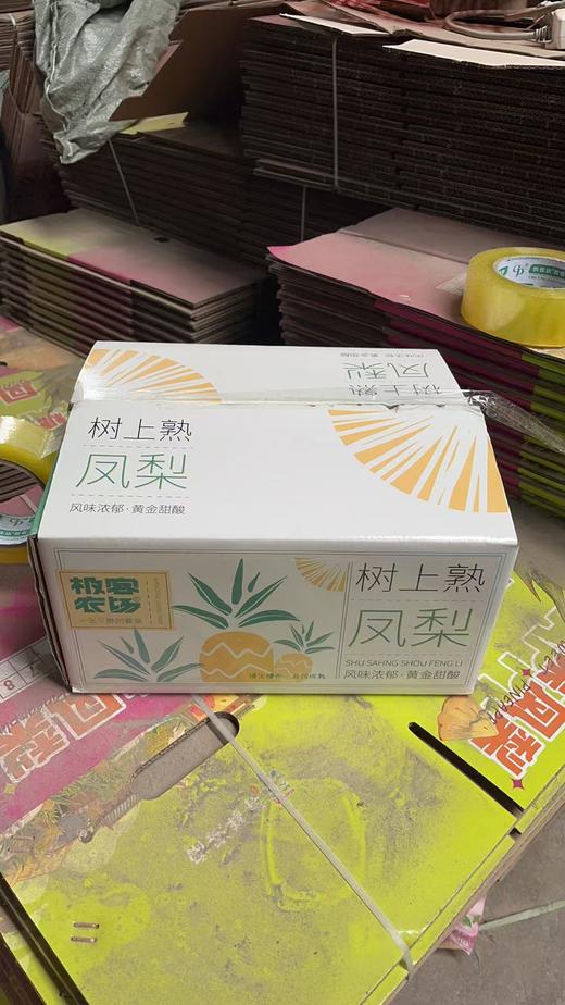 树熟芒果凤梨丨切开的一刹那，香味扑鼻，酸甜口感，凤梨味浓，果肉黄金水灿，风味馥郁，爽滑脆嫩，到货挑熟度高的先吃，常温保存或者报纸保住冷藏保存，切勿直接冷藏⭐️顺丰快递 商品图5