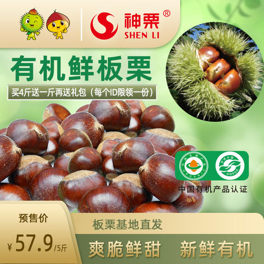 2025年神栗新鲜有机生板栗宽城板栗 商品图0
