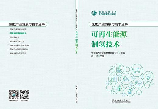 氢能产业发展与技术丛书 可再生能源制氢技术 商品图1