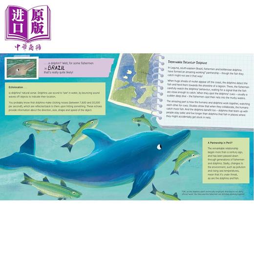 【中商原版】神奇动物和神奇的工作 Amazing Animals with Astonishing Jobs 英文原版 儿童绘本 动物工作世界指南 进口童书 商品图3