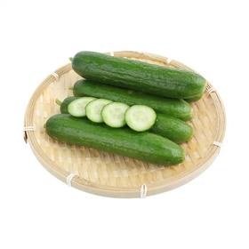 水果小黄瓜 约400-500g/份