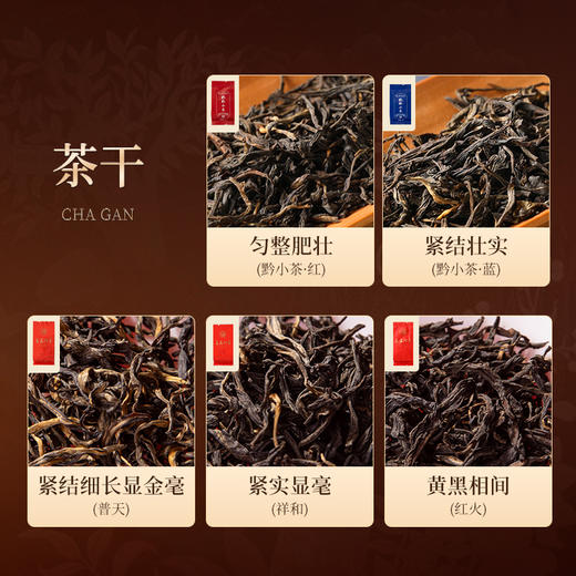 正山堂普安红 红色经典普天祥和红火黔小茶红茶品鉴装试饮集20g 商品图2