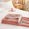 百丽安娜牛奶绒四季毯180*200cm 商品缩略图2