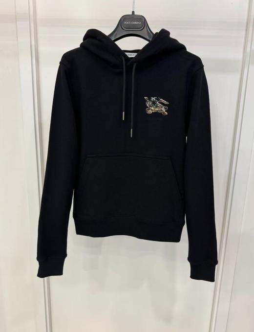 女款logo刺绣连帽卫衣007 商品图0