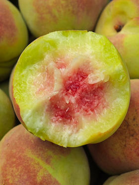 冰糖脆翡翠蜜桃，狂野的“桃生” 不一样的味，初秋时节，蜜意正浓，多2个月的守候，更多浓厚桃香味儿的青皮蜜糖心，到手脆甜多汁，放放更是一汪蜜，现摘鲜桃，鲜香爽口，不得不爱！5斤/份