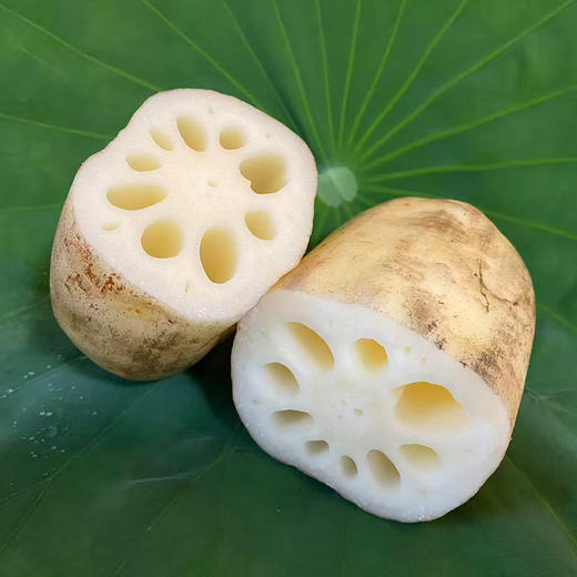 【48小时内发货，现挖现发】基地直发 | 生态莲藕（脆藕）| 江苏苏州 商品图1