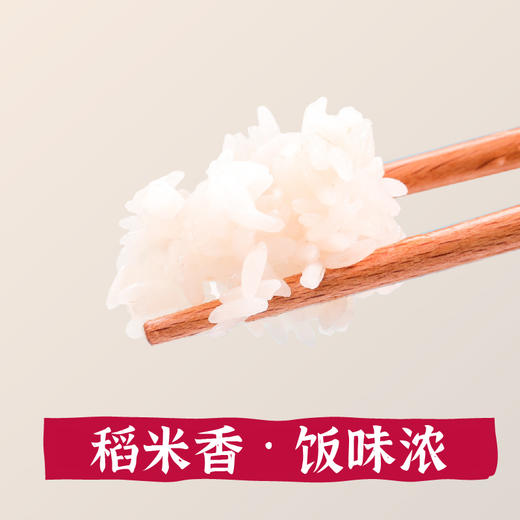 隆平芯米（江南丝苗）5kg 商品图1