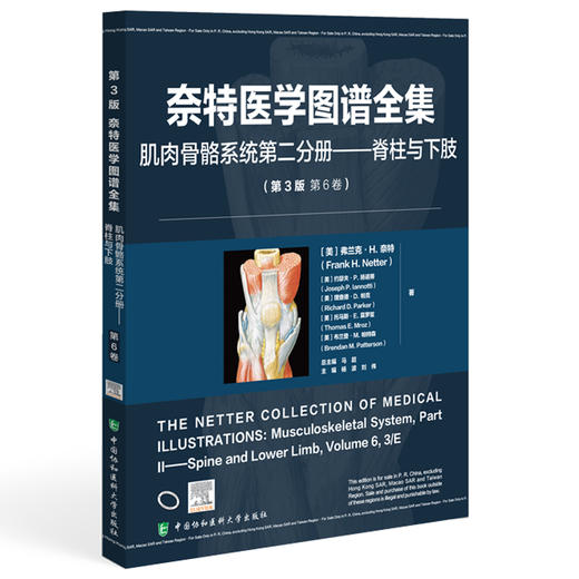 奈特医学图谱全集 肌肉骨骼系统第二分册 脊柱与下肢(第3版第6卷)杨波 刘伟 主编 9787567925762 中国协和医科大学出版社 商品图1